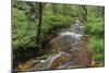 Belgium, High Fens, High Fens-Eifel Nature Park-Andreas Keil-Mounted Photographic Print