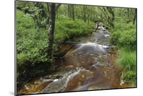 Belgium, High Fens, High Fens-Eifel Nature Park-Andreas Keil-Mounted Photographic Print