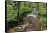 Belgium, High Fens, High Fens-Eifel Nature Park-Andreas Keil-Framed Stretched Canvas