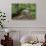 Belgium, High Fens, High Fens-Eifel Nature Park-Andreas Keil-Photographic Print displayed on a wall