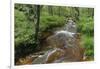 Belgium, High Fens, High Fens-Eifel Nature Park-Andreas Keil-Framed Photographic Print