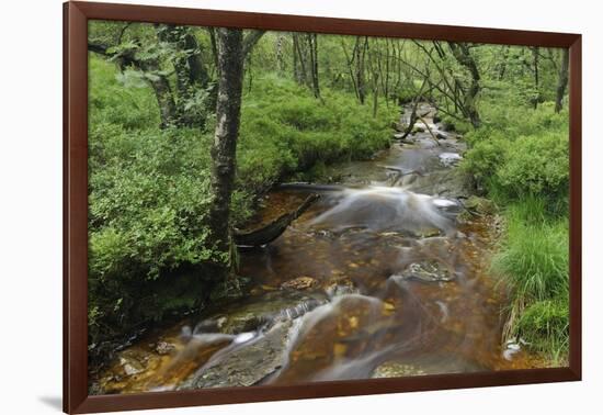 Belgium, High Fens, High Fens-Eifel Nature Park-Andreas Keil-Framed Photographic Print