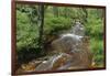 Belgium, High Fens, High Fens-Eifel Nature Park-Andreas Keil-Framed Photographic Print