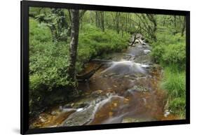 Belgium, High Fens, High Fens-Eifel Nature Park-Andreas Keil-Framed Photographic Print