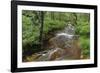 Belgium, High Fens, High Fens-Eifel Nature Park-Andreas Keil-Framed Photographic Print