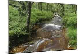 Belgium, High Fens, High Fens-Eifel Nature Park-Andreas Keil-Mounted Photographic Print