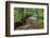 Belgium, High Fens, High Fens-Eifel Nature Park-Andreas Keil-Framed Photographic Print