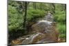 Belgium, High Fens, High Fens-Eifel Nature Park-Andreas Keil-Mounted Photographic Print