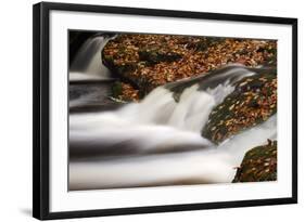 Belgium, High Fens, Nature Reserve High Fens-Eifel-Andreas Keil-Framed Photographic Print