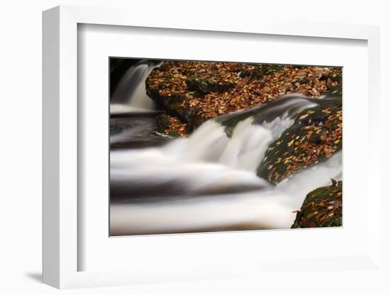 Belgium, High Fens, Nature Reserve High Fens-Eifel-Andreas Keil-Framed Photographic Print