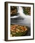 Belgium, High Fens, Nature Reserve High Fens-Eifel-Andreas Keil-Framed Photographic Print