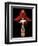 Belgium Liquor Red Man-null-Framed Premium Giclee Print