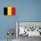 Belgium National Flag Poster Print-null-Poster displayed on a wall