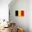 Belgium National Flag Poster Print-null-Poster displayed on a wall