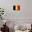 Belgium National Flag Poster Print-null-Framed Poster displayed on a wall