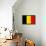 Belgium National Flag Poster Print-null-Framed Poster displayed on a wall