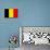 Belgium National Flag Poster Print-null-Mounted Poster displayed on a wall