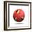 Belgium Soccer Ball-pling-Framed Art Print