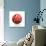 Belgium Soccer Ball-pling-Art Print displayed on a wall