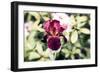 Belief-Henriette Lund Mackey-Framed Photographic Print