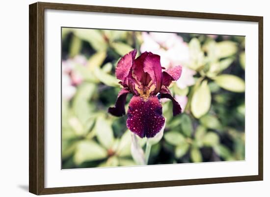 Belief-Henriette Lund Mackey-Framed Photographic Print