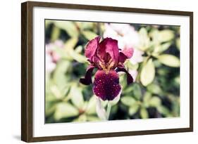 Belief-Henriette Lund Mackey-Framed Photographic Print