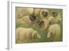 Béliers et moutons à tête noire, 10 esquisses-Rosa Bonheur-Framed Giclee Print