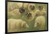 Béliers et moutons à tête noire, 10 esquisses-Rosa Bonheur-Framed Giclee Print