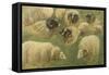 Béliers et moutons à tête noire, 10 esquisses-Rosa Bonheur-Framed Stretched Canvas