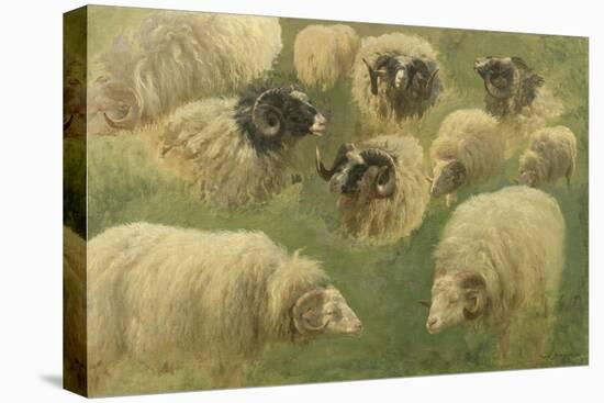 Béliers et moutons à tête noire, 10 esquisses-Rosa Bonheur-Stretched Canvas