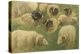 Béliers et moutons à tête noire, 10 esquisses-Rosa Bonheur-Stretched Canvas