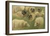 Béliers et moutons à tête noire, 10 esquisses-Rosa Bonheur-Framed Giclee Print