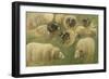 Béliers et moutons à tête noire, 10 esquisses-Rosa Bonheur-Framed Giclee Print