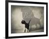 Believe #1-J Hovenstine Studios-Framed Giclee Print