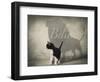 Believe #1-J Hovenstine Studios-Framed Giclee Print