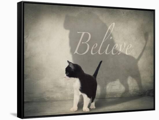 Believe #1-J Hovenstine Studios-Framed Stretched Canvas