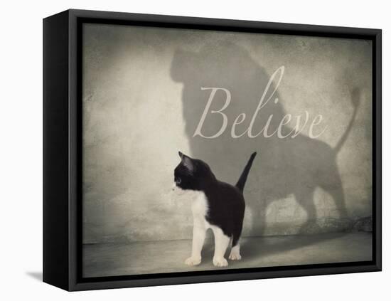 Believe #1-J Hovenstine Studios-Framed Stretched Canvas