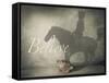 Believe #2-J Hovenstine Studios-Framed Stretched Canvas