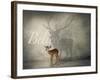 Believe #3-J Hovenstine Studios-Framed Giclee Print