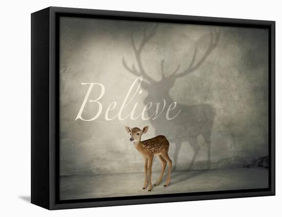 Believe #3-J Hovenstine Studios-Framed Stretched Canvas