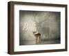 Believe #3-J Hovenstine Studios-Framed Premium Giclee Print