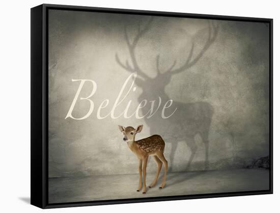 Believe #3-J Hovenstine Studios-Framed Stretched Canvas