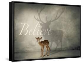 Believe #3-J Hovenstine Studios-Framed Stretched Canvas