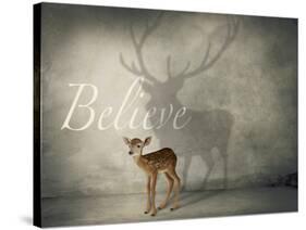 Believe #3-J Hovenstine Studios-Stretched Canvas