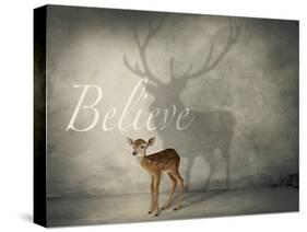 Believe #3-J Hovenstine Studios-Stretched Canvas