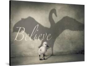 Believe #4-J Hovenstine Studios-Stretched Canvas