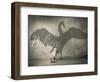 Believe #4-J Hovenstine Studios-Framed Giclee Print