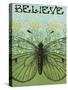 Believe Butterfly-Ricki Mountain-Stretched Canvas