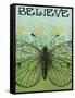 Believe Butterfly-Ricki Mountain-Framed Stretched Canvas