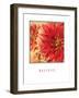 Believe Flowers-Maureen Love-Framed Photographic Print